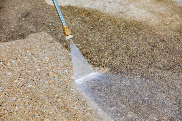 Best Driveway Pressure Washing  in Shelby, MI